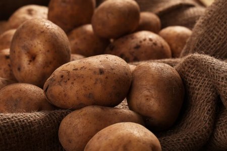 Гастроэнтеролог Атькова предупредила об опасности употребления в пищу проросшего картофеля