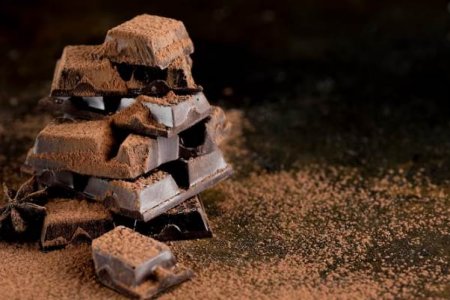 Нутрициолог Квашина назвала самый полезный для сердца вид шоколада