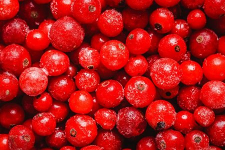 Врач Агапкин назвал доступную всем ягоду, которая защитит от инсульта