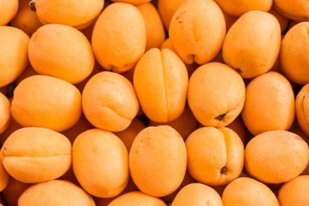 Врач-диетолог Гинзбург предупредил, что персики и абрикосы вредны для диабетиков