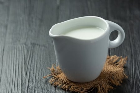 Врач Мухина сообщила, что употребление парного молока может грозить заражением бруцеллезом